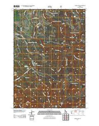 Temple Peak Idaho Historical topographic map, 1:24000 scale, 7.5 X 7.5 Minute, Year 2011