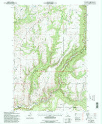 Texas Ridge Idaho Historical topographic map, 1:24000 scale, 7.5 X 7.5 Minute, Year 1994