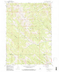 Tincup Mtn Idaho Historical topographic map, 1:24000 scale, 7.5 X 7.5 Minute, Year 1966