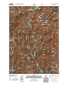 Trinity Mountain Idaho Historical topographic map, 1:24000 scale, 7.5 X 7.5 Minute, Year 2011