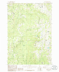 Tripod Peak Idaho Historical topographic map, 1:24000 scale, 7.5 X 7.5 Minute, Year 1985