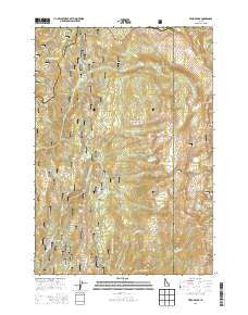 Tripod Peak Idaho Current topographic map, 1:24000 scale, 7.5 X 7.5 Minute, Year 2013