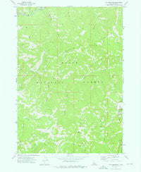 Tyee Mountain Idaho Historical topographic map, 1:24000 scale, 7.5 X 7.5 Minute, Year 1972