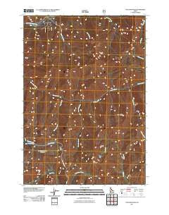 Tyee Mountain Idaho Historical topographic map, 1:24000 scale, 7.5 X 7.5 Minute, Year 2011