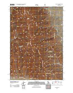 Tyler Peak Idaho Historical topographic map, 1:24000 scale, 7.5 X 7.5 Minute, Year 2011