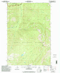 Wahoo Peak Idaho Historical topographic map, 1:24000 scale, 7.5 X 7.5 Minute, Year 1995