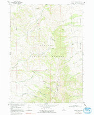 Wakley Peak Idaho Historical topographic map, 1:24000 scale, 7.5 X 7.5 Minute, Year 1968