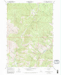 Warm Springs Point Idaho Historical topographic map, 1:24000 scale, 7.5 X 7.5 Minute, Year 1957