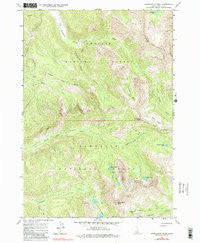 Washington Peak Idaho Historical topographic map, 1:24000 scale, 7.5 X 7.5 Minute, Year 1964