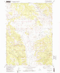 Wayan East Idaho Historical topographic map, 1:24000 scale, 7.5 X 7.5 Minute, Year 1980