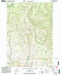 Weasel Gulch Idaho Historical topographic map, 1:24000 scale, 7.5 X 7.5 Minute, Year 2004