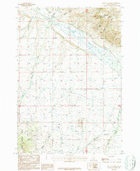 West of Leadore Idaho Historical topographic map, 1:24000 scale, 7.5 X 7.5 Minute, Year 1987