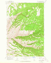 White Bird Hill Idaho Historical topographic map, 1:24000 scale, 7.5 X 7.5 Minute, Year 1963