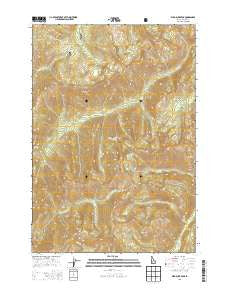 Wild Buck Peak Idaho Current topographic map, 1:24000 scale, 7.5 X 7.5 Minute, Year 2013