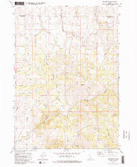 Wolverine Idaho Historical topographic map, 1:24000 scale, 7.5 X 7.5 Minute, Year 1981