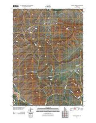 Yandell Springs Idaho Historical topographic map, 1:24000 scale, 7.5 X 7.5 Minute, Year 2010
