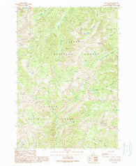 Yellow Peak Idaho Historical topographic map, 1:24000 scale, 7.5 X 7.5 Minute, Year 1989