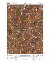 Yellow Peak Idaho Historical topographic map, 1:24000 scale, 7.5 X 7.5 Minute, Year 2011