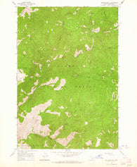 Yellowjacket Idaho Historical topographic map, 1:24000 scale, 7.5 X 7.5 Minute, Year 1963