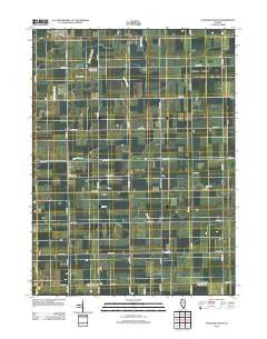 Flanagan South Illinois Historical topographic map, 1:24000 scale, 7.5 X 7.5 Minute, Year 2012