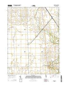 Henning Illinois Current topographic map, 1:24000 scale, 7.5 X 7.5 Minute, Year 2015