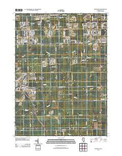 Manhattan Illinois Historical topographic map, 1:24000 scale, 7.5 X 7.5 Minute, Year 2012