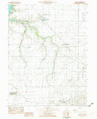 Owaneco Illinois Historical topographic map, 1:24000 scale, 7.5 X 7.5 Minute, Year 1982