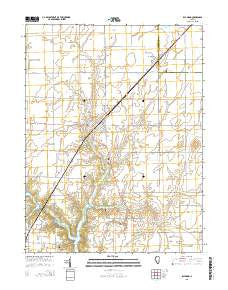 Raymond Illinois Current topographic map, 1:24000 scale, 7.5 X 7.5 Minute, Year 2015