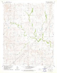 Mount Jesus Kansas Historical topographic map, 1:24000 scale, 7.5 X 7.5 Minute, Year 1979