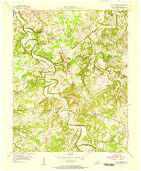 Allen Springs Kentucky Historical topographic map, 1:24000 scale, 7.5 X 7.5 Minute, Year 1954
