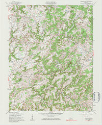Constantine Kentucky Historical topographic map, 1:24000 scale, 7.5 X 7.5 Minute, Year 1960