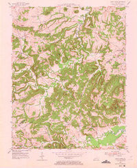 Shady Grove Kentucky Historical topographic map, 1:24000 scale, 7.5 X 7.5 Minute, Year 1954