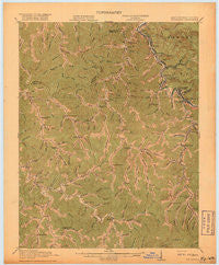 Williamson Kentucky Historical topographic map, 1:62500 scale, 15 X 15 Minute, Year 1918