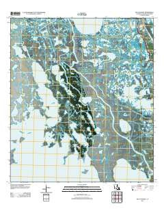 Bay Courant Louisiana Historical topographic map, 1:24000 scale, 7.5 X 7.5 Minute, Year 2012