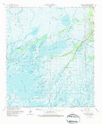 Bayou Du Large Louisiana Historical topographic map, 1:62500 scale, 15 X 15 Minute, Year 1964