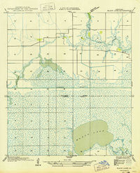 Black Lake Louisiana Historical topographic map, 1:31680 scale, 7.5 X 7.5 Minute, Year 1949