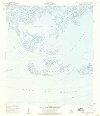 Central Isles Dernieres Louisiana Historical topographic map, 1:24000 scale, 7.5 X 7.5 Minute, Year 1953
