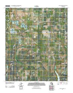 Fort Necessity Louisiana Historical topographic map, 1:24000 scale, 7.5 X 7.5 Minute, Year 2012