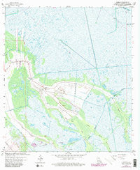 Gheens Louisiana Historical topographic map, 1:24000 scale, 7.5 X 7.5 Minute, Year 1963