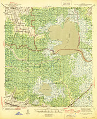 Lac Des Allemands Louisiana Historical topographic map, 1:62500 scale, 15 X 15 Minute, Year 1944