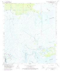 Lake Cataouatche West Louisiana Historical topographic map, 1:24000 scale, 7.5 X 7.5 Minute, Year 1967