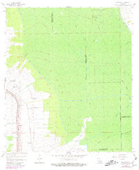 Madewood Louisiana Historical topographic map, 1:24000 scale, 7.5 X 7.5 Minute, Year 1962
