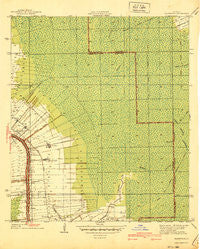 Madewood Louisiana Historical topographic map, 1:31680 scale, 7.5 X 7.5 Minute, Year 1940