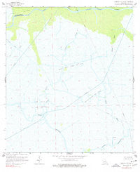 Morgan City SE Louisiana Historical topographic map, 1:24000 scale, 7.5 X 7.5 Minute, Year 1966