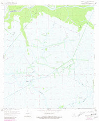 Morgan City SE Louisiana Historical topographic map, 1:24000 scale, 7.5 X 7.5 Minute, Year 1966