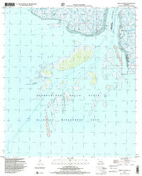 Point Au Fer NE Louisiana Historical topographic map, 1:24000 scale, 7.5 X 7.5 Minute, Year 1998