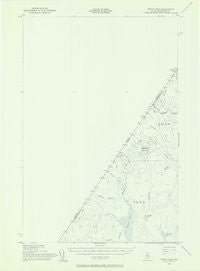 Depot Lake Maine Historical topographic map, 1:62500 scale, 15 X 15 Minute, Year 1955