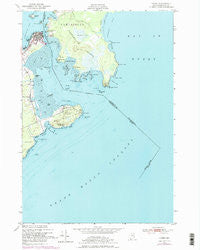 Lubec Maine Historical topographic map, 1:24000 scale, 7.5 X 7.5 Minute, Year 1949