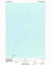 Machias Seal Island Maine Historical topographic map, 1:24000 scale, 7.5 X 7.5 Minute, Year 1993