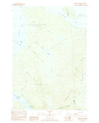 Metallak Mtn Maine Historical topographic map, 1:24000 scale, 7.5 X 7.5 Minute, Year 1984